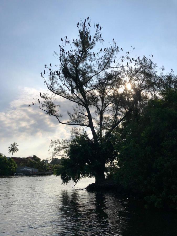 ريو دي جانيرو Paraiso Na Ilha Da Gigoia المظهر الخارجي الصورة